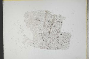 Plane Polarized, S12620