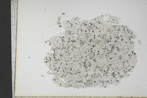 Plane Polarized, S12643