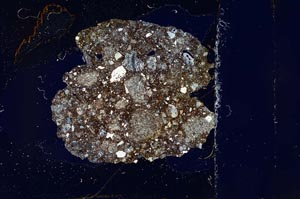 Cross Polarized, S12654