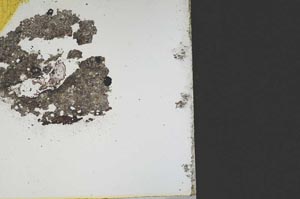 Plane Polarized, S12656