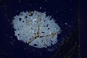 Cross Polarized, S12657