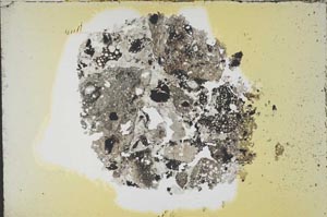 Plane Polarized, S12659