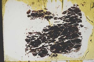 Plane Polarized, S12660
