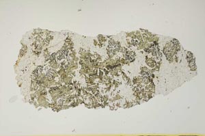 Plane Polarized, S2642