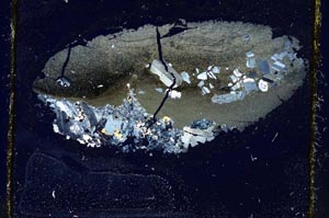 Cross Polarized, S2654