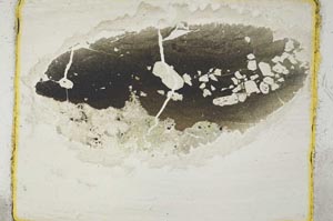 Plane Polarized, S2654