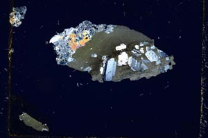 Cross Polarized, S2654/a