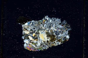 Cross Polarized, S2654/b