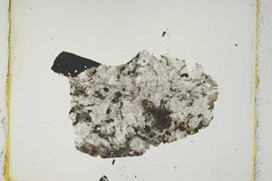 Plane Polarized, S2654/b