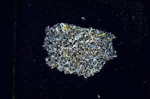 Cross Polarized, S2657
