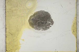 Plane Polarized, S2658