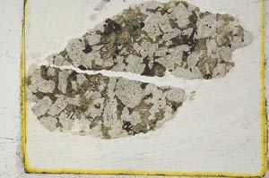 Plane Polarized, S2659