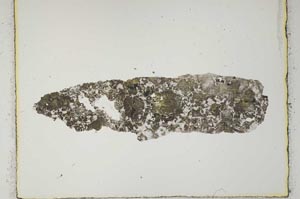 Plane Polarized, S2661