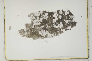 Plane Polarized, S2662
