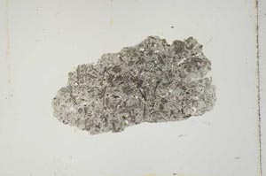 Plane Polarized, S2665