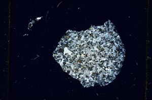 Cross Polarized, S2666