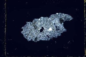 Cross Polarized, S2669