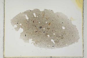 Plane Polarized, S2673