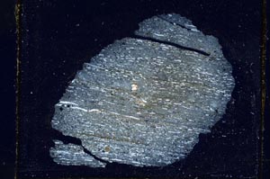 Cross Polarized, S2684