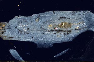 Cross Polarized, S2686