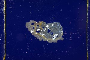 Cross Polarized, S2687