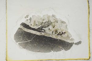 Plane Polarized, S2693