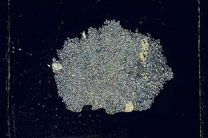 Cross Polarized, S2702