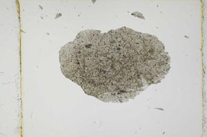 Plane Polarized, S2704