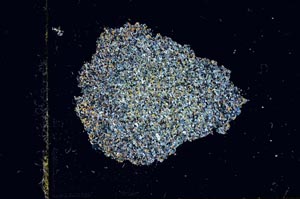 Cross Polarized, S2706