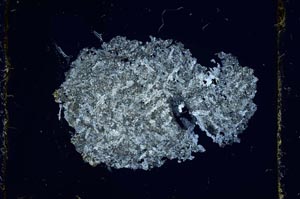 Cross Polarized, S2707