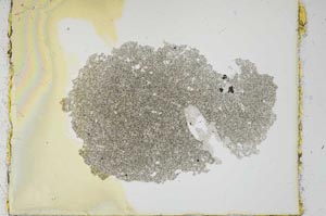 Plane Polarized, S2707