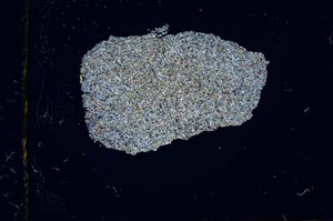 Cross Polarized, S2711