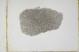 Plane Polarized, S2711