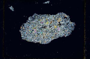 Cross Polarized, S2712