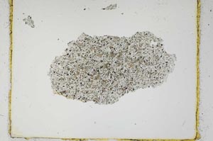 Plane Polarized, S2712