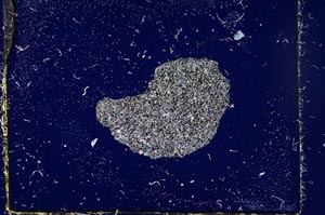 Cross Polarized, S2714