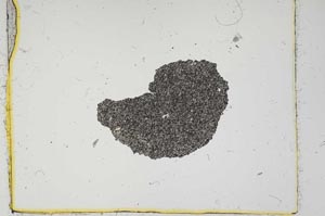 Plane Polarized, S2714