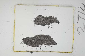 Plane Polarized, S2714/a