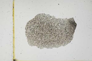 Plane Polarized, S2715