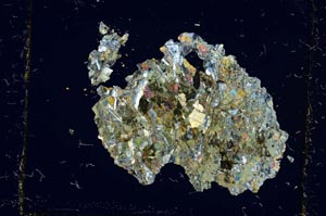 Cross Polarized, S2717