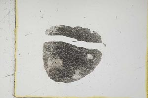 Plane Polarized, S2719