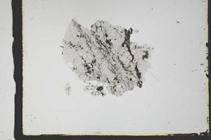 Plane Polarized, S2762