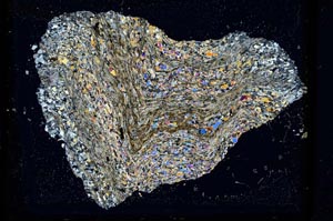 Cross Polarized, S2771