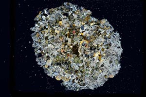 Cross Polarized, S2773