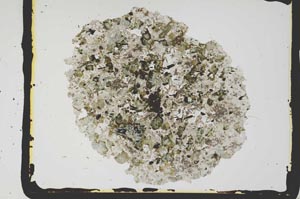 Plane Polarized, S2773