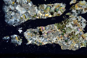 Cross Polarized, S2774