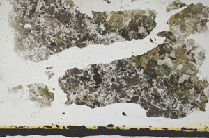 Plane Polarized, S2774