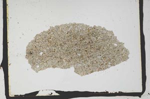 Plane Polarized, S2776