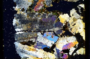 Cross Polarized, S2777