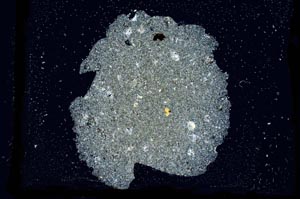 Cross Polarized, S2778